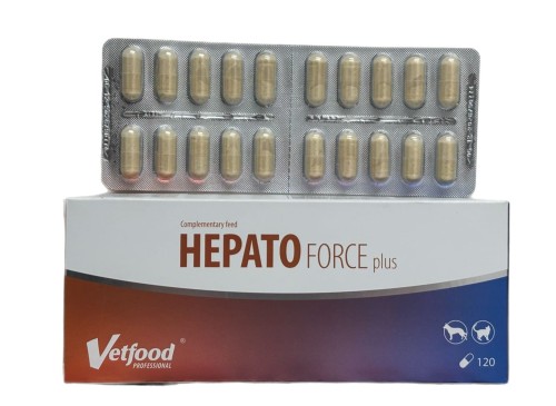 WhatsApp Image 2026-01-26 at 11.46.26.jpeg