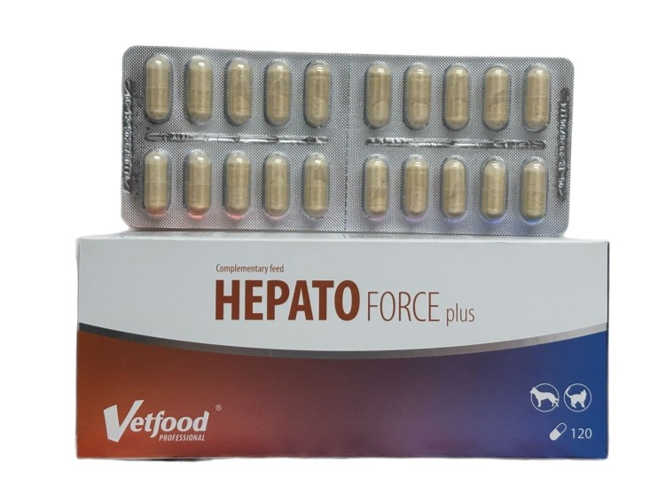 WhatsApp Image 2026-01-26 at 11.46.26.jpeg