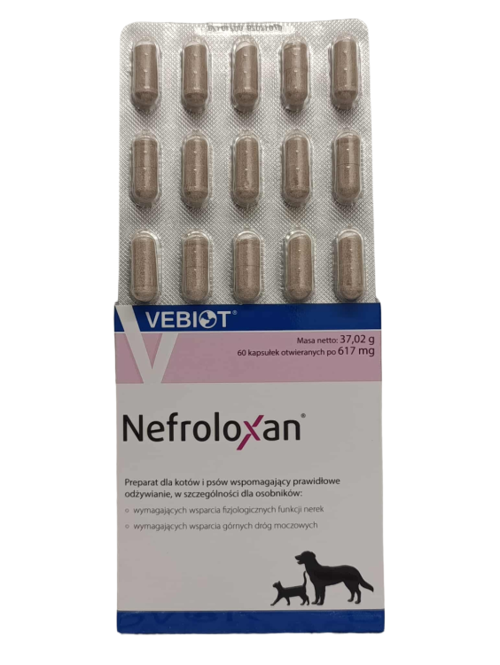 erasebg-transformed (7).png