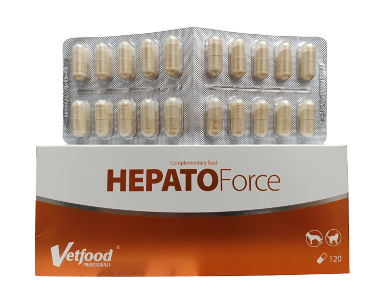 erasebg-transformed (8).png