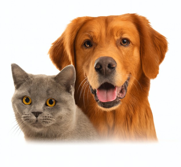 Materiały najlepszej jakości